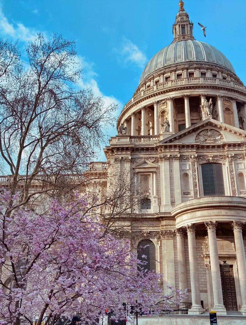 亚洲太平洋硕士商学院